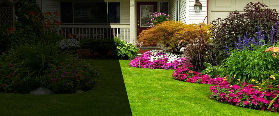 Clancy Landscapers