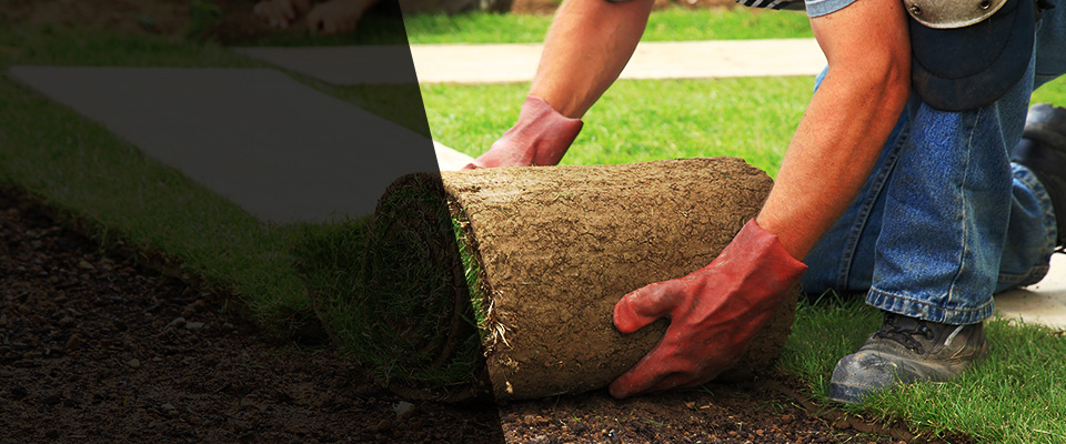 Clancy Landscapers